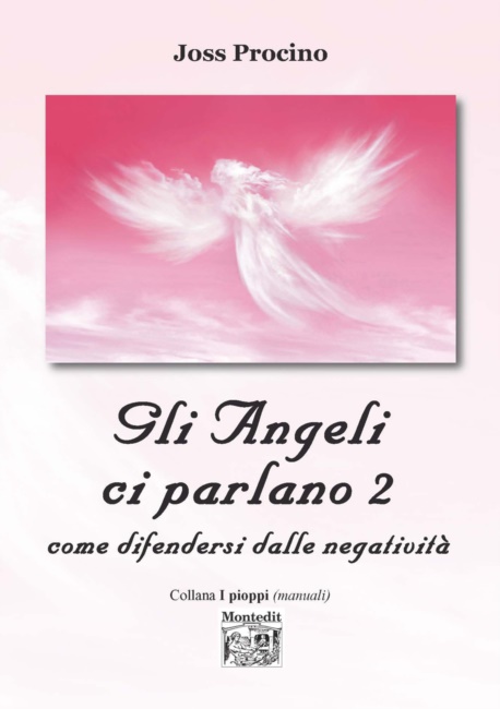 Libro Gli Angeli ci Parlano 2