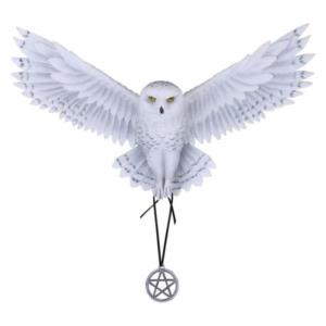 Awake your magic di Anne Stokes