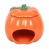 Bruciaessenze zucca 