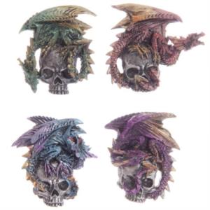 Calamita - Drago su teschio 