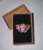 Cute Moth Falena Carina