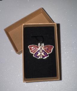 Cute Moth Falena Carina