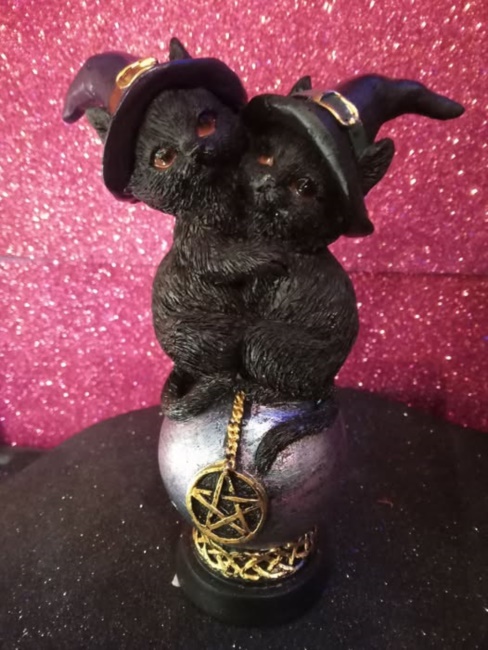 Gatti con cappello da strega