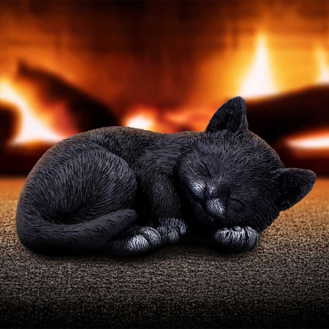 Gatto Feline Dream