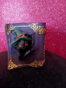 Gatto magico nel libro blu