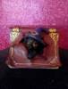 Gatto magico nel libro ross