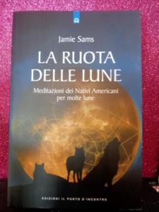 Libro La ruota delle Lune