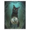 Quadro canva con gatto di Lisa Parker