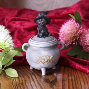 Scatola Gatto su calderone