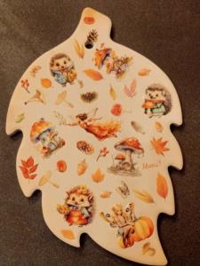 Sotto pentola autunno ricci e fatine