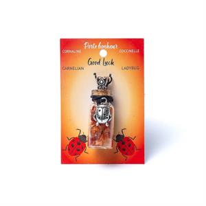 bottiglietta corniola e coccinella portafortuna