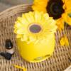 brucia essenze girasole