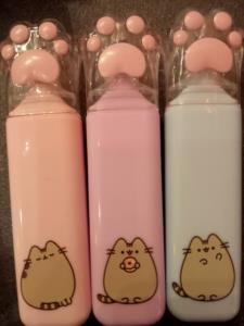 evidenziatori pusheen 