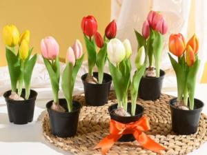 vasetto con tulipani